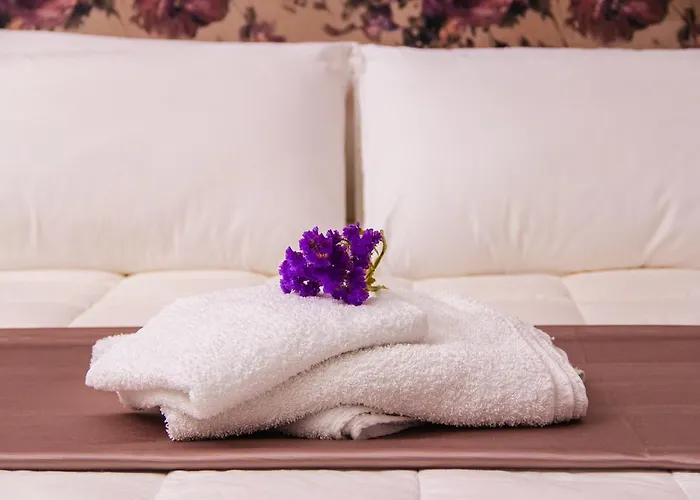 Vivar Hotel